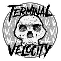 Terminal Velocity Discs