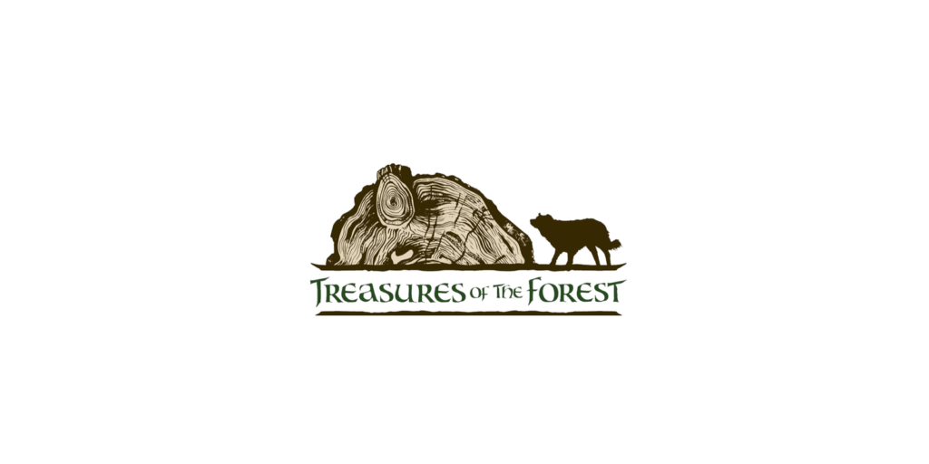 Treasures of the Forest
